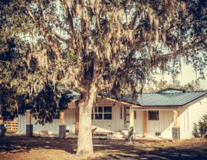 A newly renovated house exterior with white siding and a dark metal roof by Alejandro Melo Contractor corp in Tampa, FL.