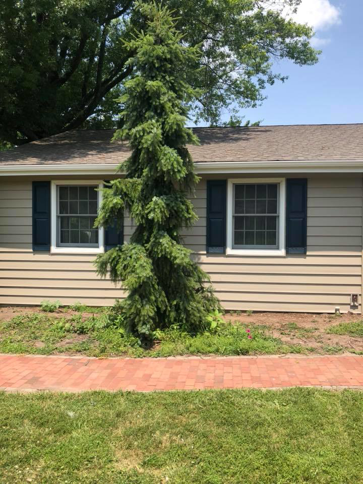 The front of a house with newly installed siding, windows, and dark shutters, completed by Quality Care Home Improvements in Hamilton, NJ.