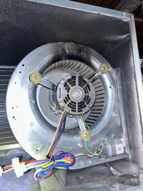 Close-up view of an HVAC blower motor inside a unit, indicating inspection or repair by Pollock HVAC & Electrical in Albany, GA