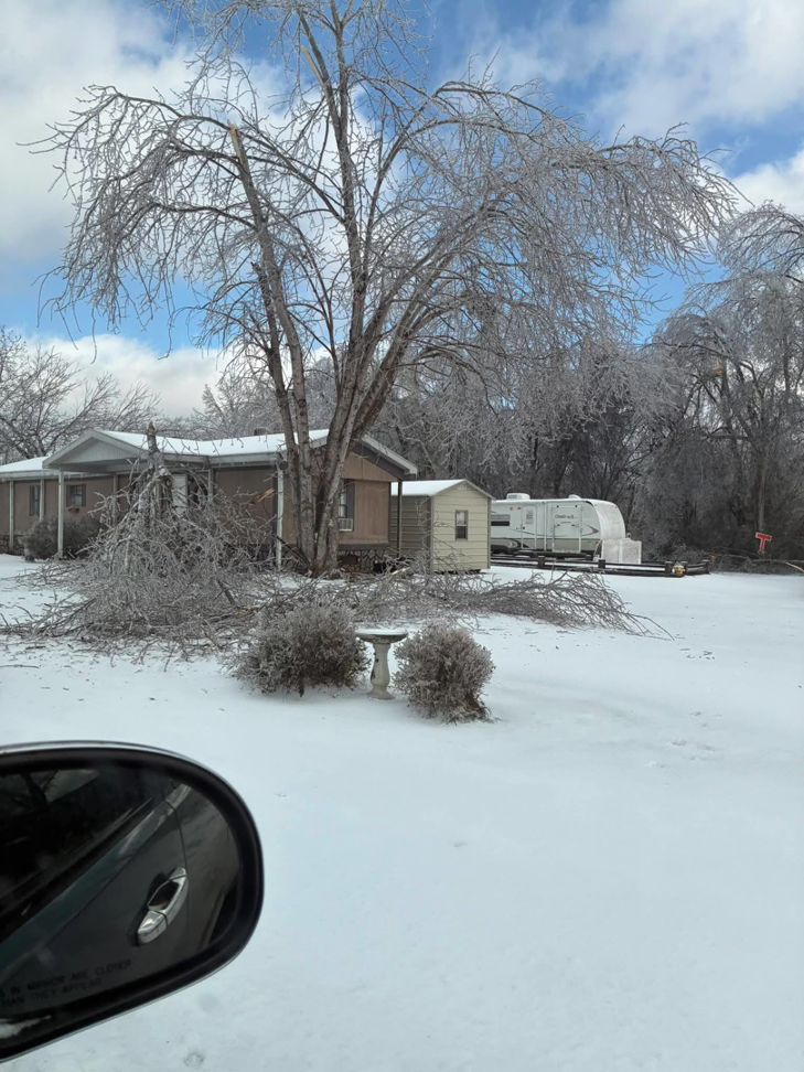Ice storm damage with broken tree branches around a home, ready for cleanup by Tim's Tree Service & Landscaping in Milan, TN.
