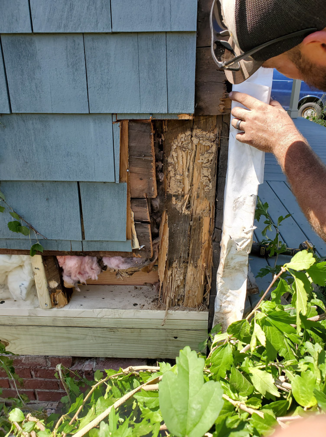 A handyman inspecting severely rotted framing and sill damage on a house exterior for Richard C. Michalak in Worcester, MA.