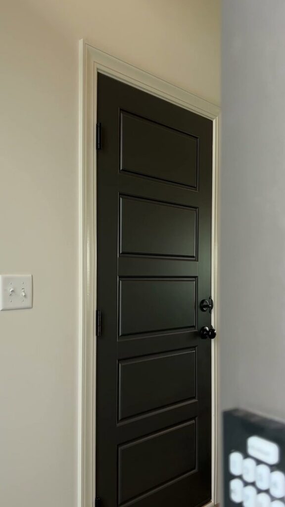 A newly installed black interior door and light switch by Elevate Design + Build in Philomath, OR.