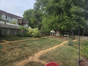 A backyard lawn with marked lines indicating the layout for a new irrigation system by Rainscapes in Louisville, TN.