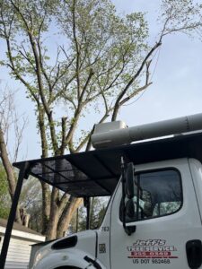 A Jeff's Tree Service truck parked at a residential property with a large tree that has been recently trimmed in Sioux City, IA.