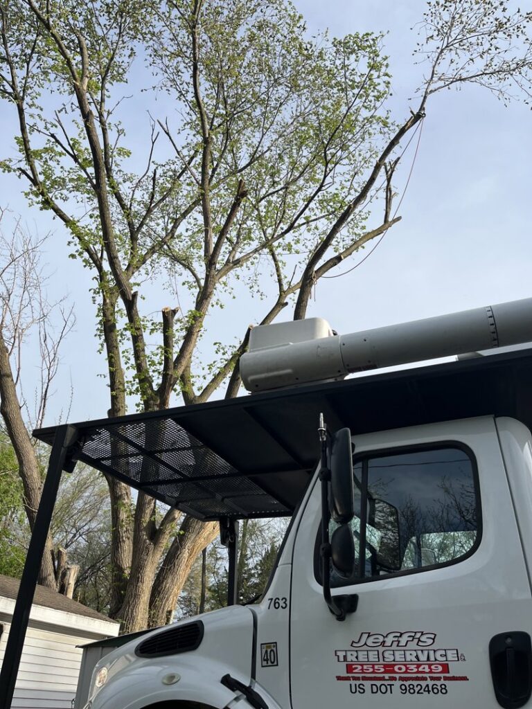 A Jeff's Tree Service truck parked at a residential property with a large tree that has been recently trimmed in Sioux City, IA.