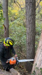 A JOCO Services worker using a chainsaw to cut down a tree in a wooded area in Council Bluffs, IA.