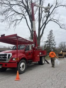 A JOCO Services team member in a red bucket truck performing tree work in Council Bluffs, IA.