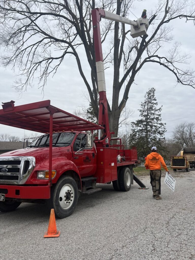 A JOCO Services team member in a red bucket truck performing tree work in Council Bluffs, IA.