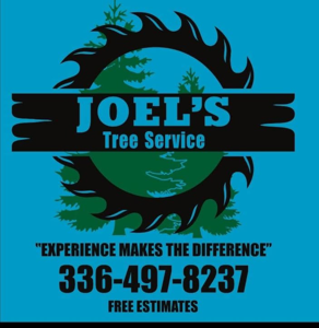 Joel’s tree service
