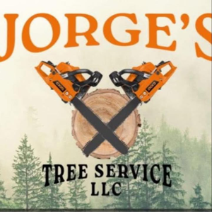Jorge’s tree service
