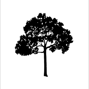 Kingdom Tree Company