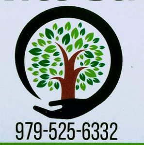 KIRI TREE service