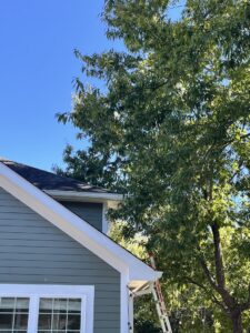 A ladder positioned near a house and a tree, indicating roof clearance or tree trimming work by Knotty Branches Tree Service in Macon, GA.