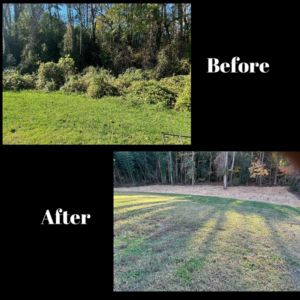 Before and after photos of an overgrown area cleared by ABS Landscaping & Tree Service LLC in Winchester, VA.