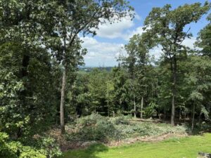 A cleared area with piles of wood chips and debris after land clearing by Clearview Tree and Landscaping Services in Martinsburg, WV.