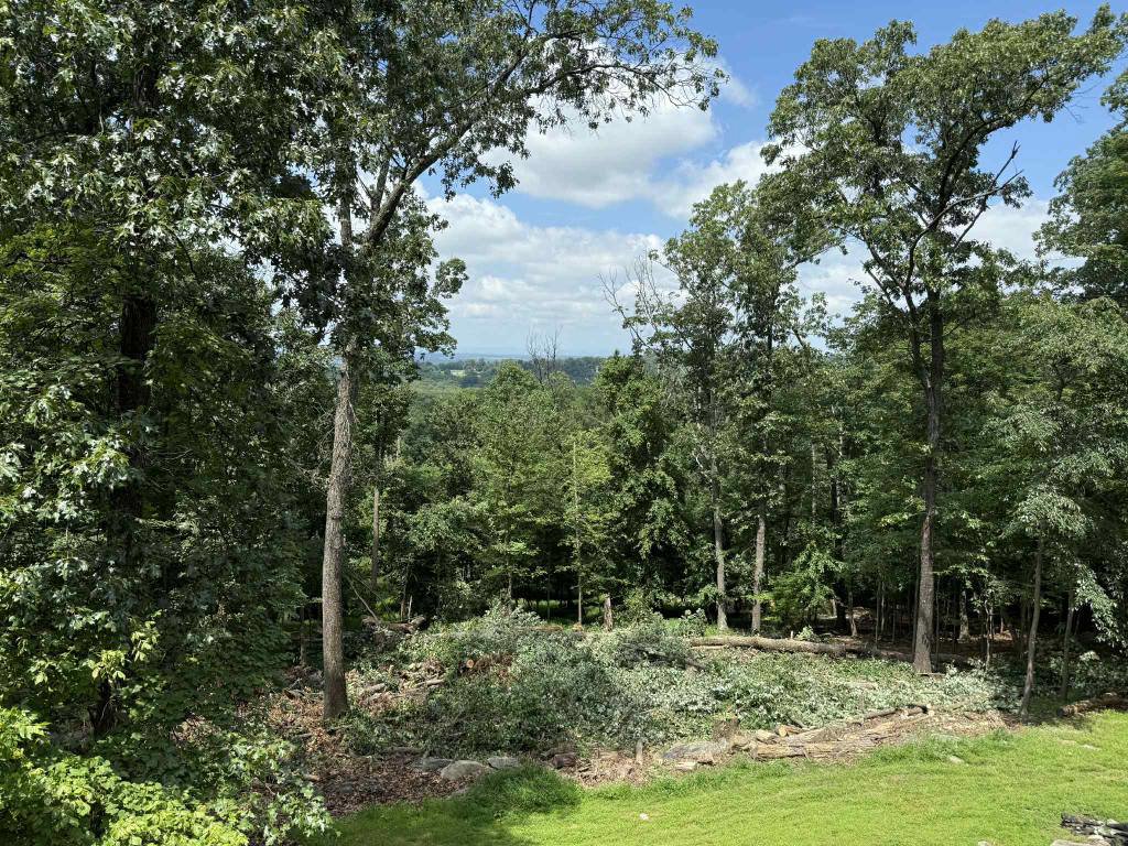 A cleared area with piles of wood chips and debris after land clearing by Clearview Tree and Landscaping Services in Martinsburg, WV.