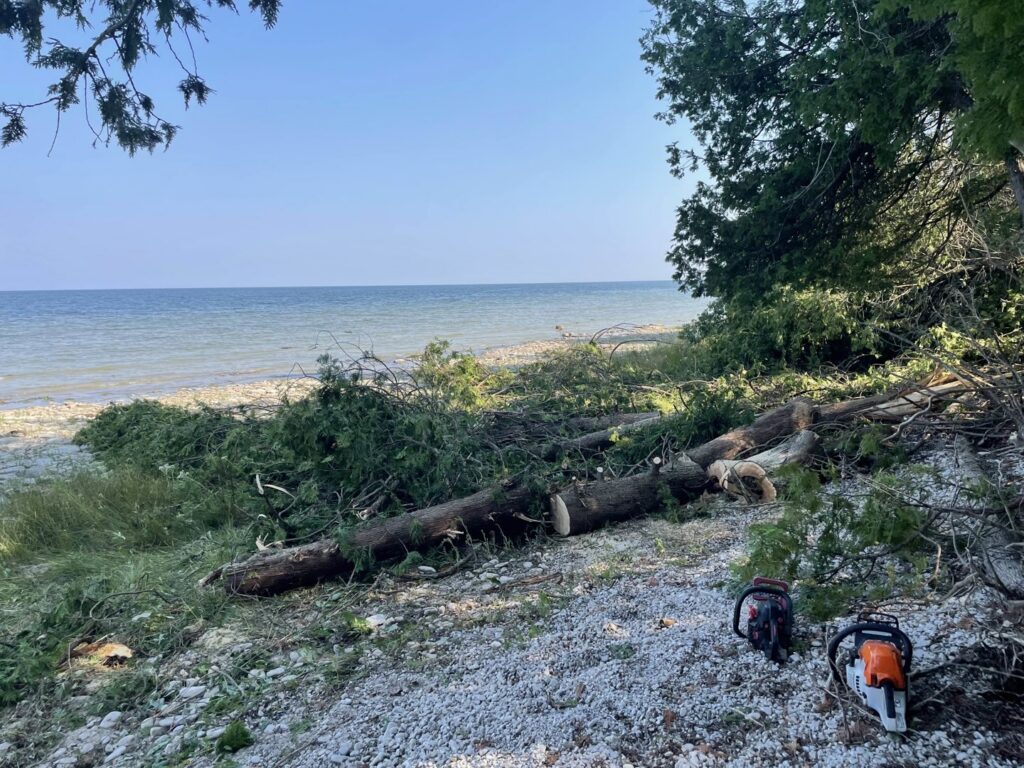 Land clearing and debris removal with cut logs and chainsaws by A&A Property Renovations LLC in Green Bay, WI.