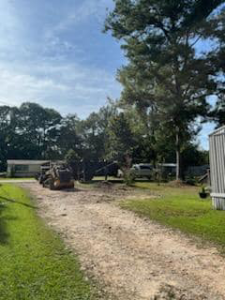 Heavy equipment, possibly a skid steer and wood chipper, on a dirt path during a land clearing project by East Alabama Tree Service in Auburn, AL