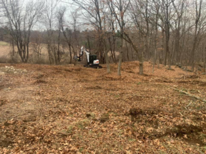 An excavator performing land clearing services in a wooded area with fallen leaves by L & P Excavation and Tree Removal in Salem, NH.