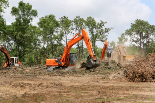 Heavy equipment performing land clearing and tree removal for Carolina Property Solution and Tree Service in Concord, NC.
