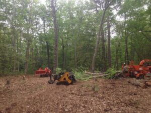 Heavy equipment and cut branches in a wooded area, showing land clearing services by Toms River Tree Service, LLC in Toms River, NJ.