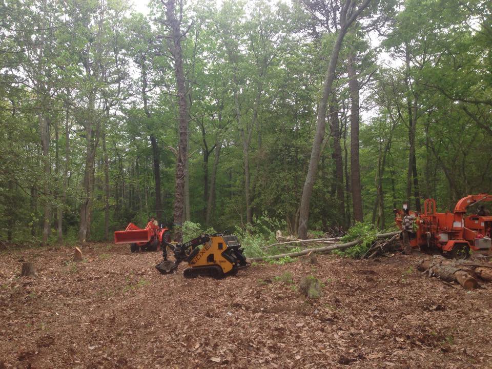 Heavy equipment and cut branches in a wooded area, showing land clearing services by Toms River Tree Service, LLC in Toms River, NJ.