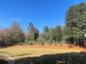 A recently cleared and planted area with new shrubs and mulch, showcasing land clearing services by Golden Acres Tree Care LLC in Roswell, GA.