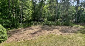 A cleared land area at the edge of a forest, showing ground preparation by Tree service Rigoberto peraza in Atlanta, GA.