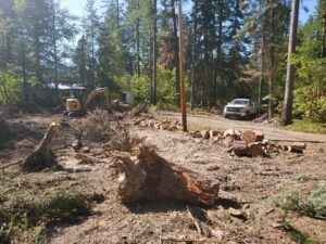 Land clearing project with tree stumps, cut logs, and an excavator by Flathead Tree Services in Kalispell, MT