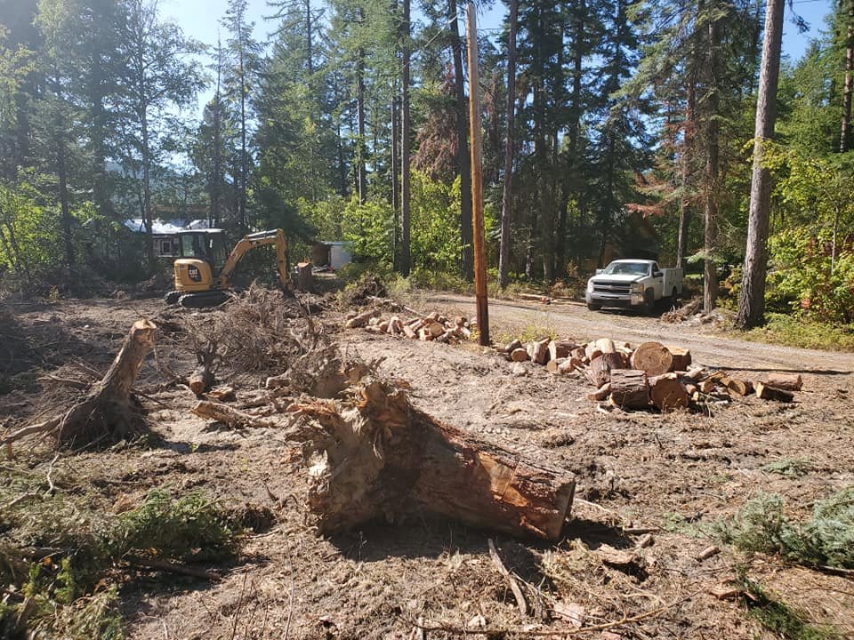 Land clearing project with tree stumps, cut logs, and an excavator by Flathead Tree Services in Kalispell, MT