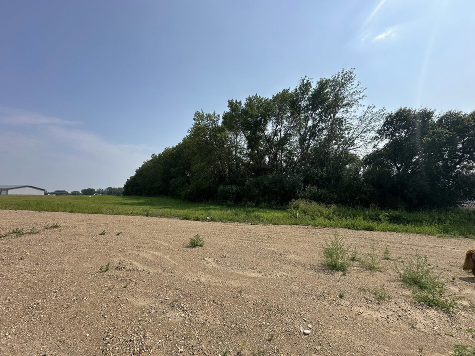 Land clearing and tree removal services by Dakota Timber Clearing LLC in Wagner, SD