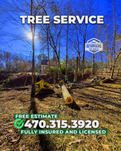 Tree service workers and heavy equipment performing land clearing and tree removal for Resurgens Tree Service in Flowery Branch, GA.