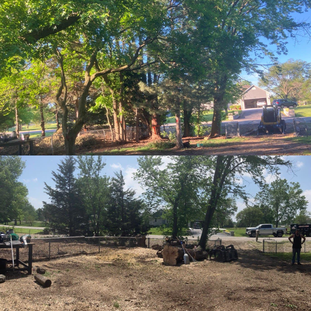 Before and after photo of a large land clearing and tree removal project by Rates Tree Service in Wichita, KS.