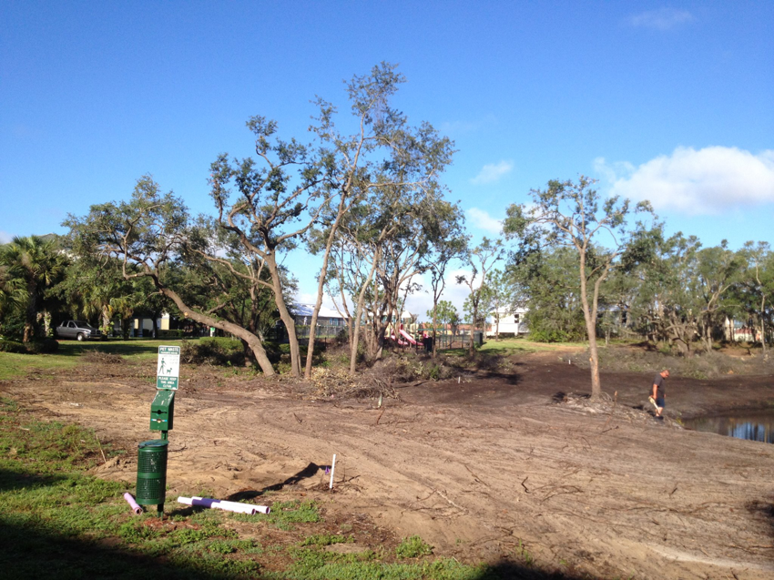 A large area after land clearing and tree removal by Right Cut Tree in Orlando, FL.