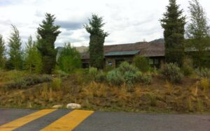 A professionally landscaped area featuring mature evergreen trees by Trees Inc - Wyoming in Jackson, WY