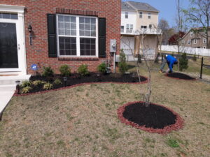 A beautifully landscaped front yard featuring fresh mulch and new plants, completed by C&C LAWN CARE,MOVING & TRASH REMOVAL in Baltimore, MD
