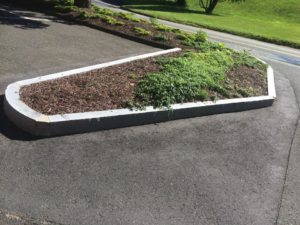 A neatly maintained landscaped planter with a stone border by Discovery Enterprises LLC in Danbury, CT.