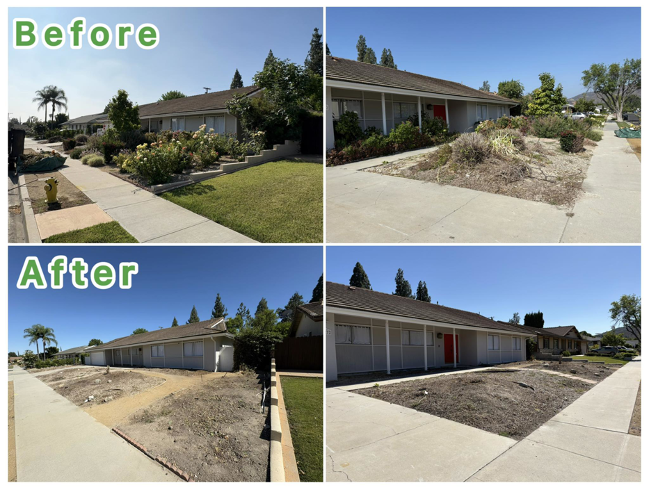Before and after photos of extensive landscaping and brush clearance by Waste Unlimited Brush Clearance & Tree Service LLC in Los Angeles, CA.