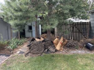 A large pile of landscaping debris and yard waste in a backyard, ready for BeeBop's Junk Removal in Sioux Falls, SD.