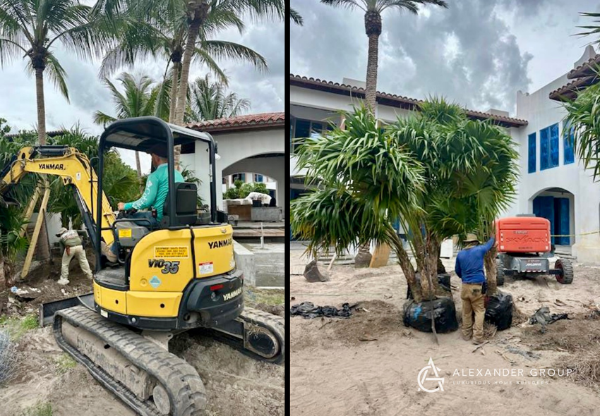 Landscaping excavation and large palm tree planting at a construction site by Alexander Group Construction in Miami, FL.