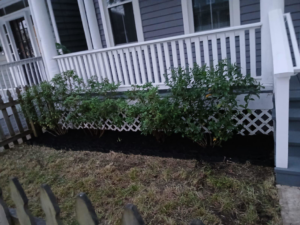 Fresh landscaping with new bushes and mulch around a front porch by Isac's General Services LLC in Henrico, VA
