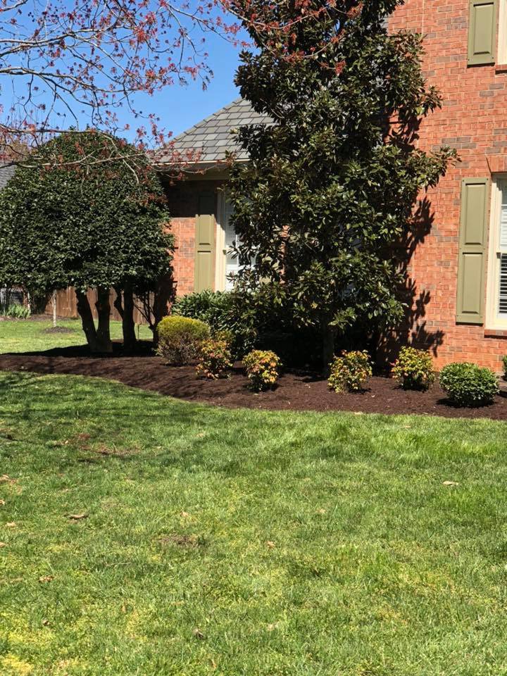 Freshly mulched landscaping with shrubs and a tree next to a brick house by Ratliff Landscape and Tree Service LLC in Murfreesboro, TN