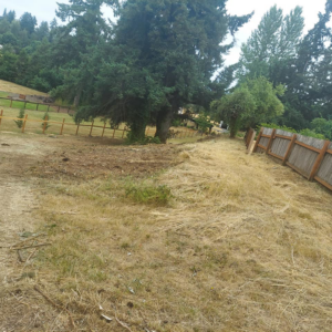 Large area field mowing and property maintenance by Terrazas yard maintenance & construction LLC in Eugene, OR.