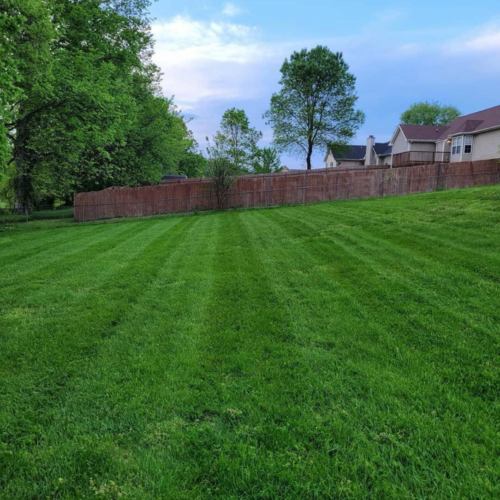 A large backyard with a freshly mowed and striped lawn by Home and Land Services in Clarksville, TN