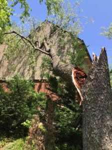 Broken tree trunk leaning on a house, showing storm damage requiring tree service by A Professional Tree Service in Lexington, KY.
