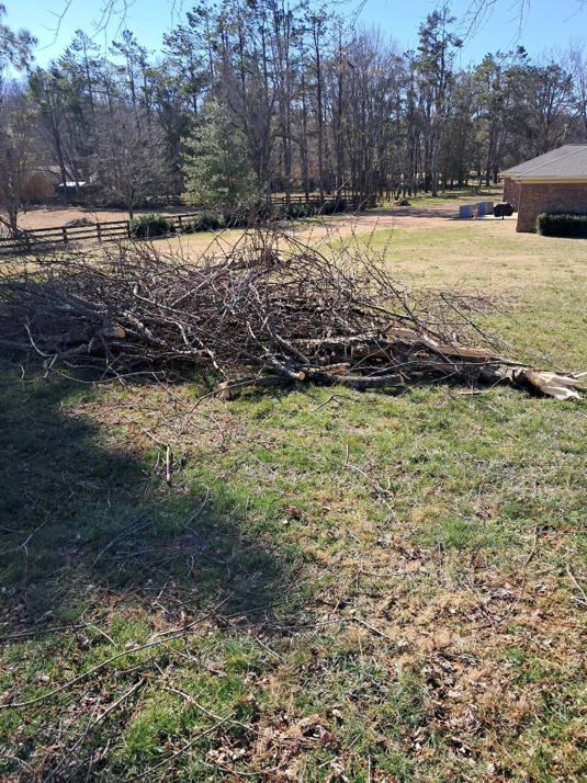 A large pile of brush and tree debris ready for removal by Tim's Tree Service & Landscaping in Milan, TN.