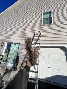 A large clump of lint and debris held by a technician, removed during a dryer vent cleaning service in Wilmington, DE.
