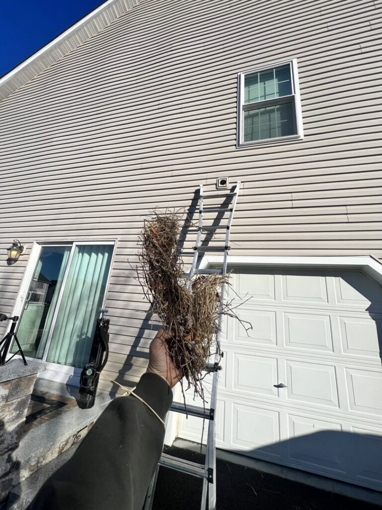 A large clump of lint and debris held by a technician, removed during a dryer vent cleaning service in Wilmington, DE.