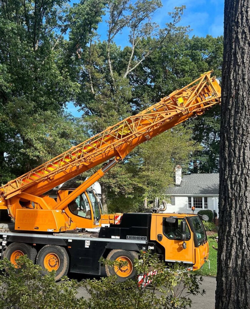 A large orange crane with its boom extended, positioned next to a tall tree for heavy tree removal by Ernesto tree service & landscaping LLC in Richmond, VA.