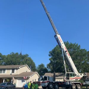 A large crane with an extended boom assisting with tree removal in a residential area for Toms River Tree Service, LLC in Toms River, NJ.